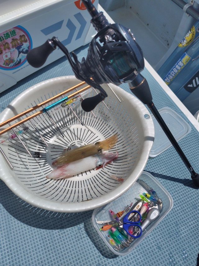 DAIWA 24年モデル ADMIRA A 150PL 左ハンドル　#338 DAIWA 24年モデル ADMIRA A 150PL 左ハンドル #338 - メルカリ