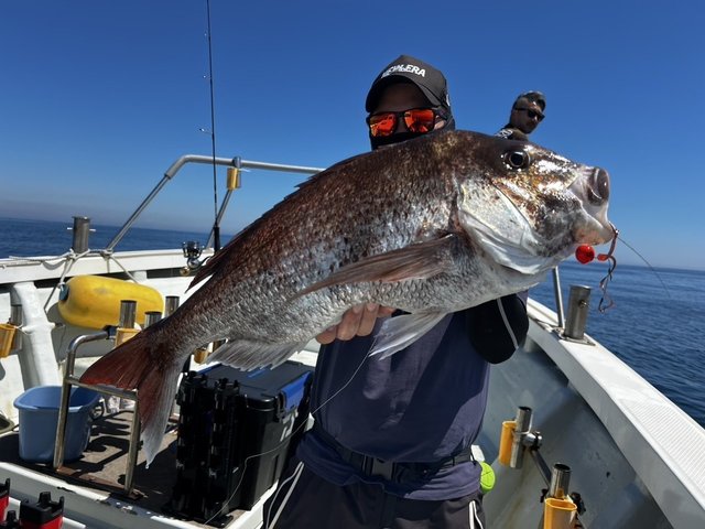 天龍 TENRYU オフショアロッド レッドフリップ RF652S-L/CN