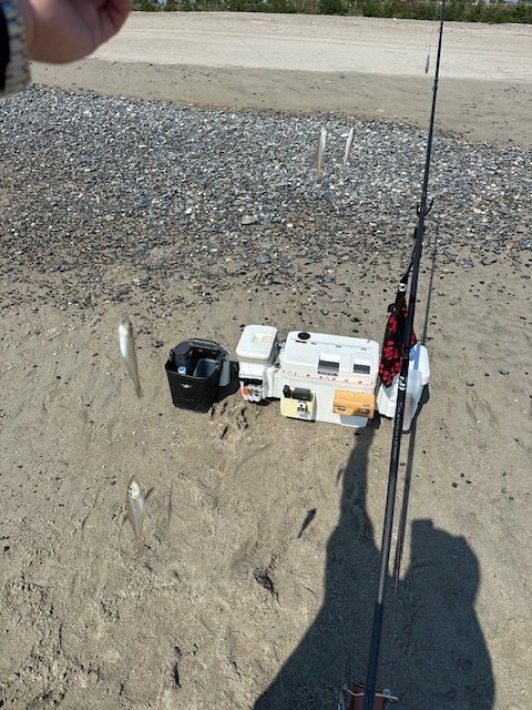 ダイワ 投げ竿 サンダウナー コンペティション 35-405S・J (ストリップ