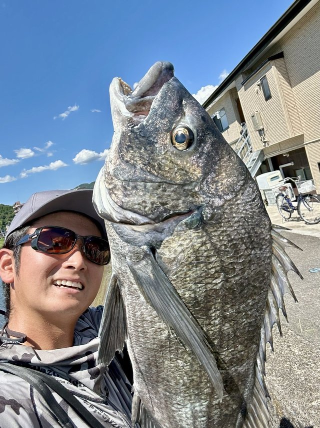 ダイワ スピニングリール 24ルビアス PC LT2500【即日発送】(PC LT2500