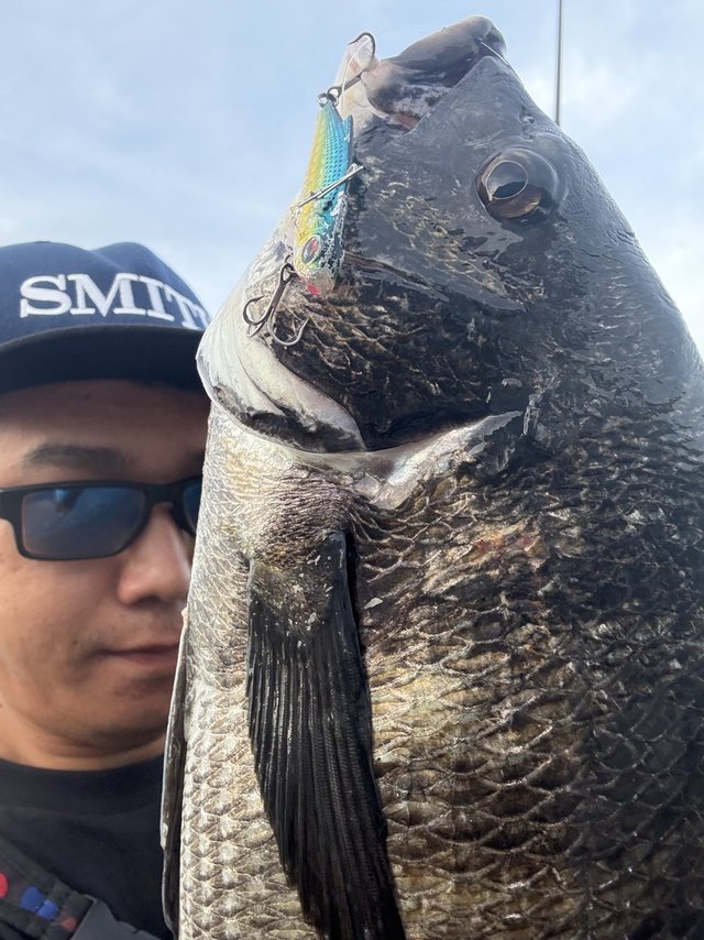 ダイワ シーバスロッド モアザン ブランジーノ EX AGS 88MB(ベイト 2