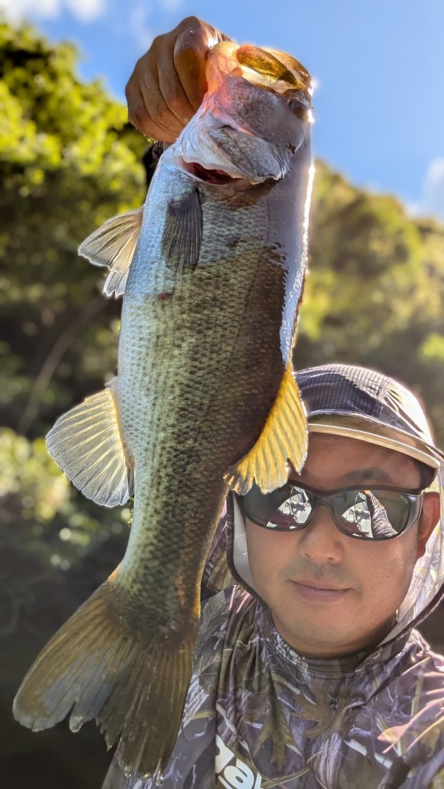 Fly Fisher 2012 年 12 月 227 バスフィッシング バス釣り 最新釣果 [釣具のキャスティング]