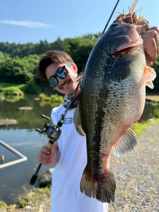 ダイワ ベイトリール 25アルファスBF TW 8.5L(左)【即日発送