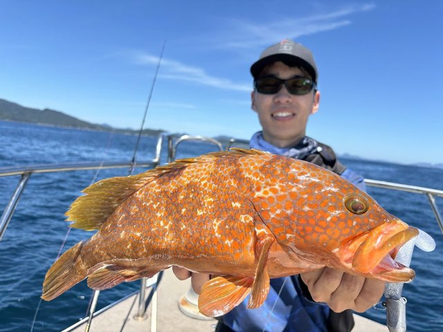 ラテオ　ボートシーバス　72MHS DAIWA（釣り） ダイワ 23 ラテオ BS 72MHS・W スピニングモデル