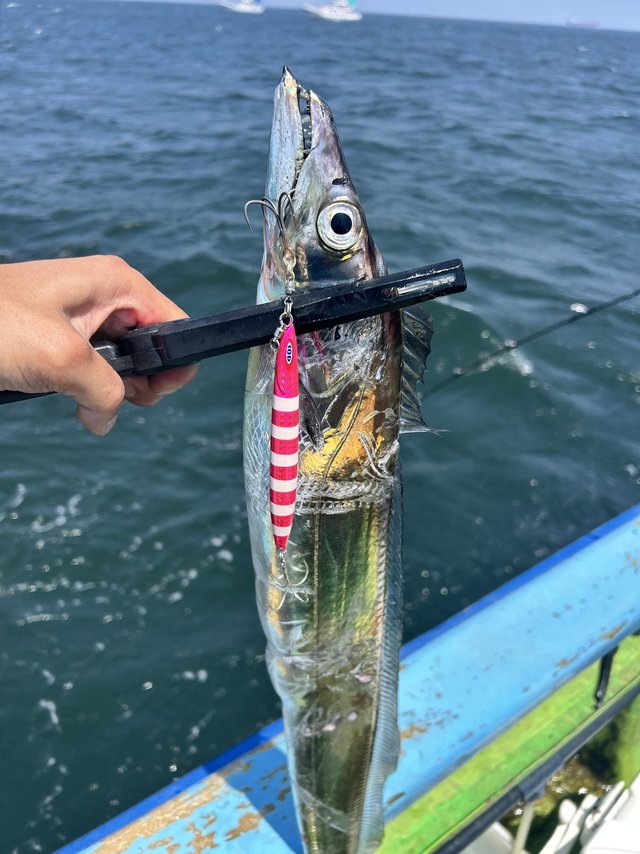 ☆週末お値引きします！和竿　④ yo-ko(ヨーコ) (@yokotv_fishing) / X