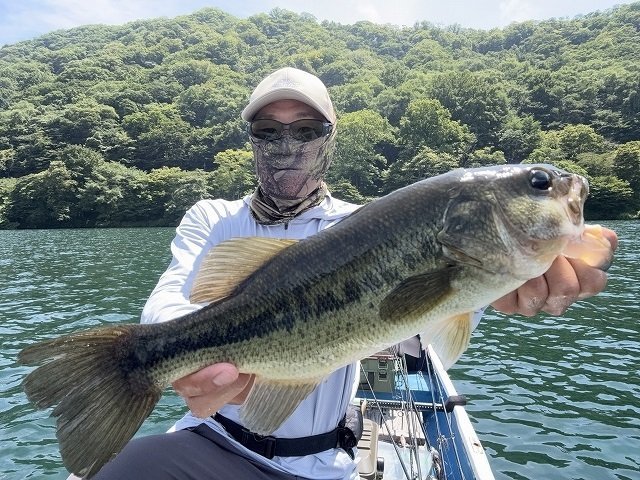 最新釣果 [釣具のキャスティング]