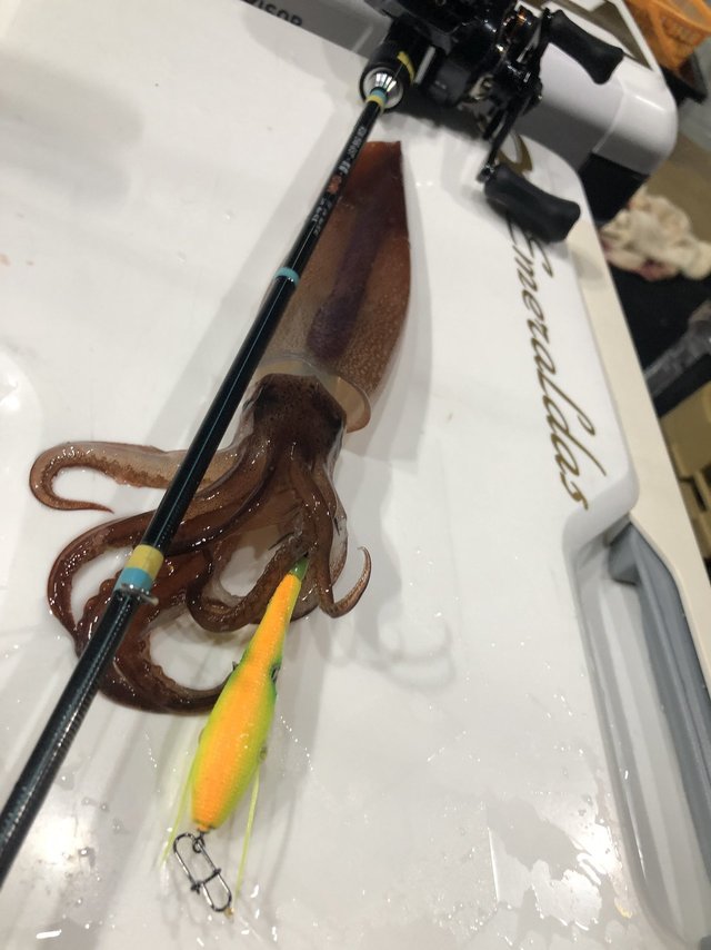 レイドジャパン オフショアロッド RISE RIM-62B-ST 「夕凪」YUNAGI