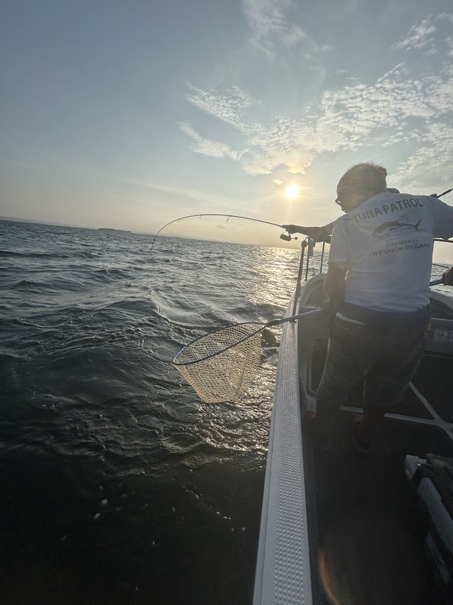 メガソウル C63H+ アピア シーバスロッド グランデージ メガソウル C63H+ (ベイト