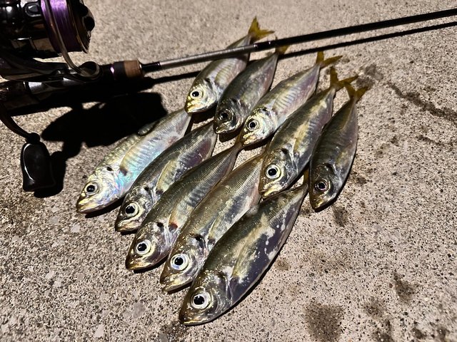 24ルビアス LT2000S-P スプール アジング メバリング トラウト