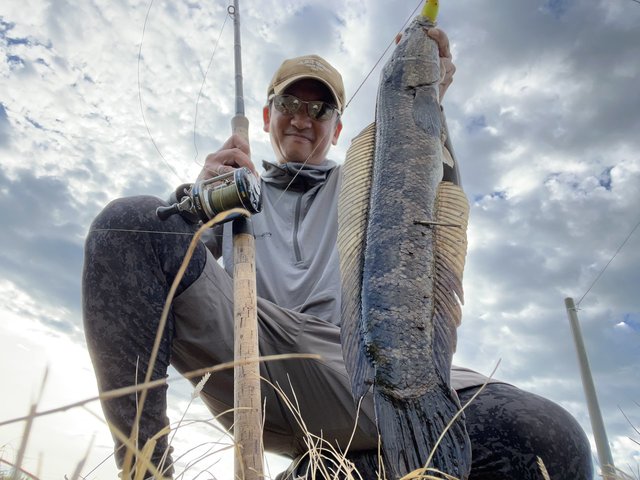 ｱﾌﾞｶﾞﾙｼｱ ｱﾝﾊﾞｻﾀﾞｰ ﾌｧｸﾄﾘｰﾁｭｰﾝ 6600CA Factory Tuned ﾌﾞﾗｯｸ 右ﾊﾝﾄﾞﾙ