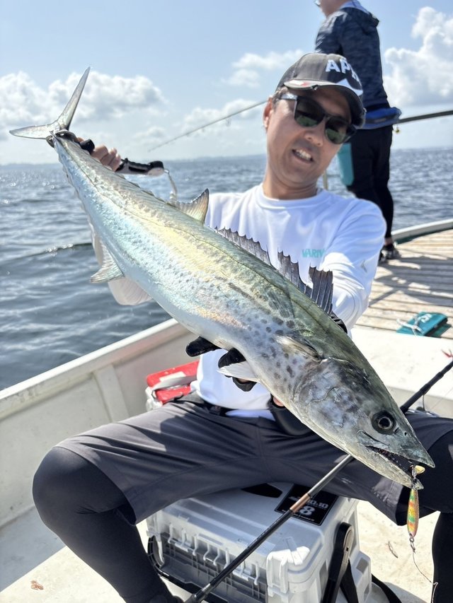 ダイワ スピニングリール 24セルテート LT5000D-CXH(LT5000D-CXH