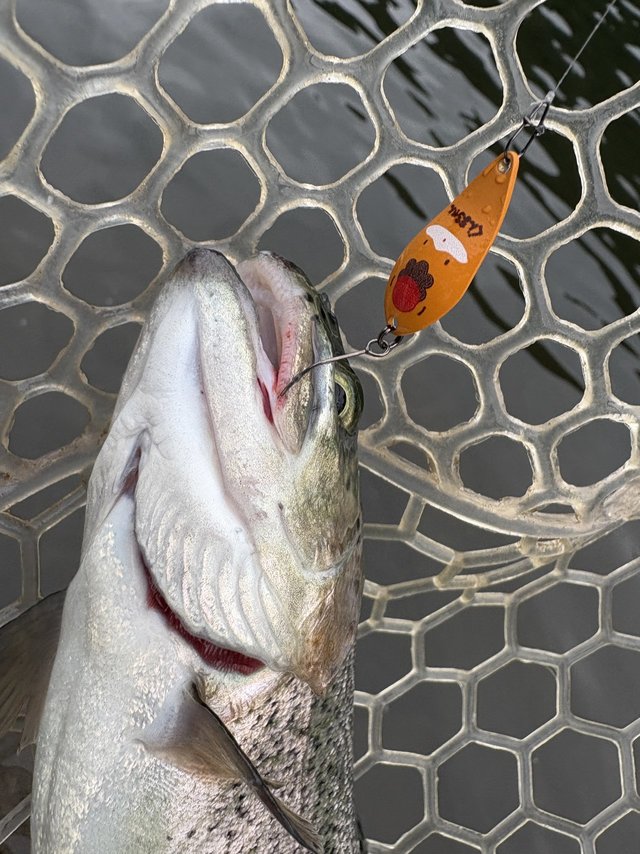 ダイワ スピニングリール 22イグジスト LT2000S-P 2022年モデル