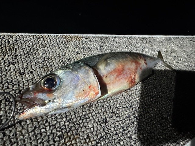 XBRAID エックスブレイド リーダー PEライン アップグレードX8