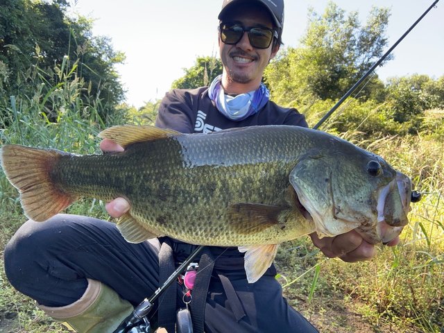 ダイワ ベイトリール 24スティーズ SV TW 100HL(左)【即日発送