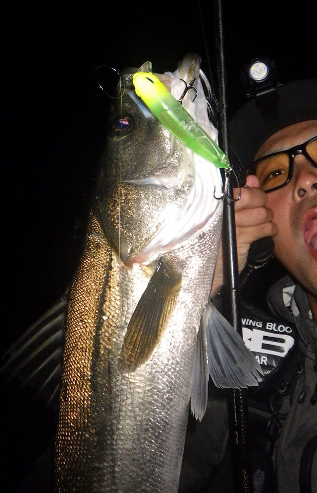 ダイワ シーバスロッド モアザン ブランジーノ EX AGS 93MHB(ベイト 2