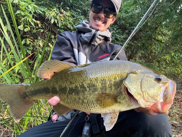 これが最後の値下げ！ダイワ★スティーズSC C69MH KING VIPER★ fishing-game_a01-4061