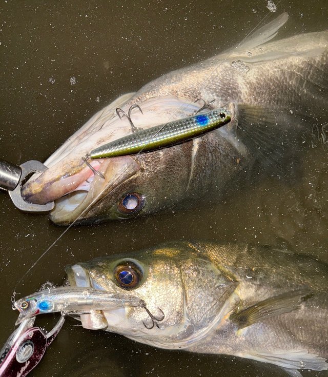 美品❗️22イグジストLT2500S-H♪ダイワ 22 イグジスト LT2500S-Hのスペック | 釣りクラウド