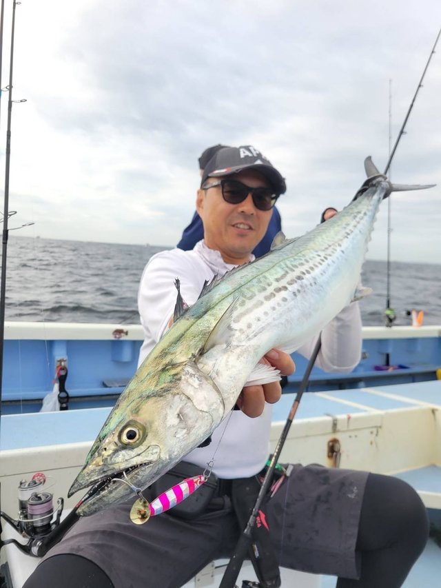 ダイワ スピニングリール 24セルテート LT5000D-XH【即日発送