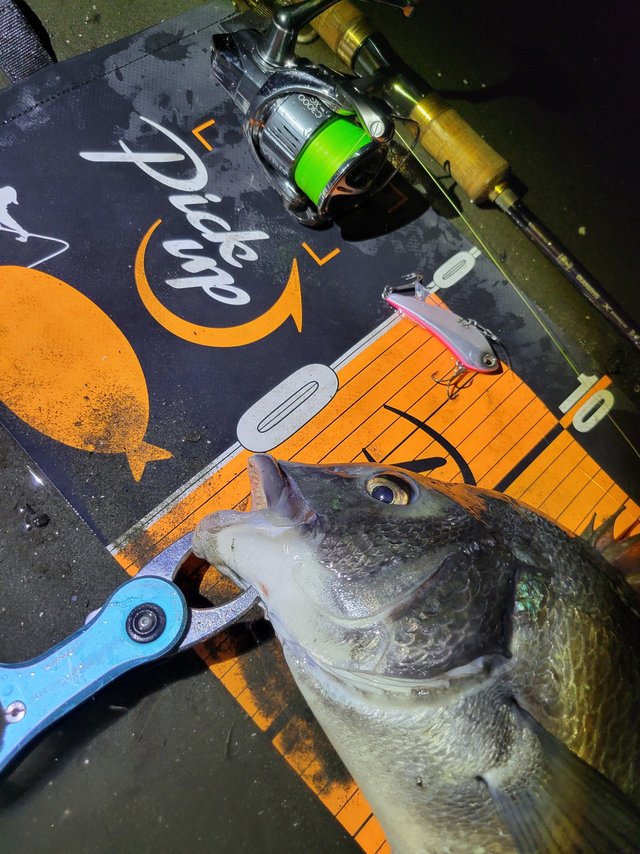 22ステラ C3000XGスピニングリール シマノ 22 ステラ C3000XG (2022年モデル) スピニングリール /(5