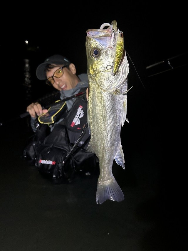 ANGEL SHOOTER 96M シーバスロッド Amazon | アピア ロッド Foojin'AD ANGEL SHOOTER 96M 9.6