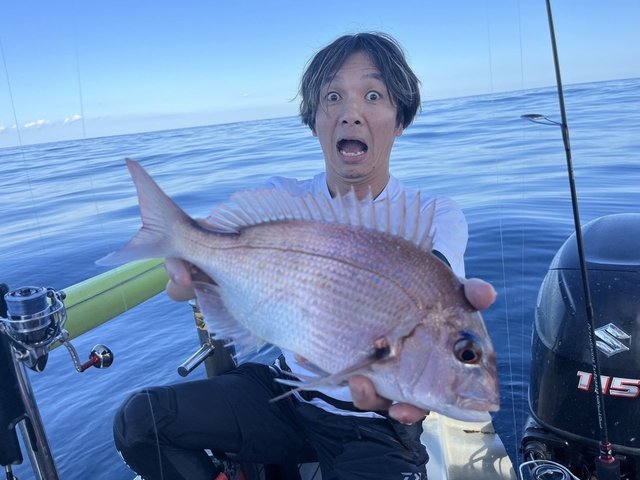 ダイワ スピニングリール 24セルテート LT3000-CH【即日発送