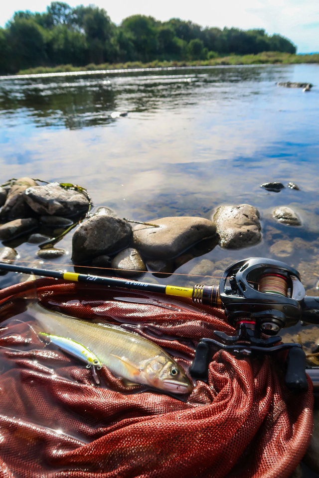 Diwa ベイトキャスティングフィッシングリール 海水 淡水スピニングリール カーボンファイバードラッグ 18ポンド 12 + シールドステンレススチールボールベアリ ダイワ 00630262 SS AIR TW 8.5R 右巻き ベイトリール 淡水 ルアー