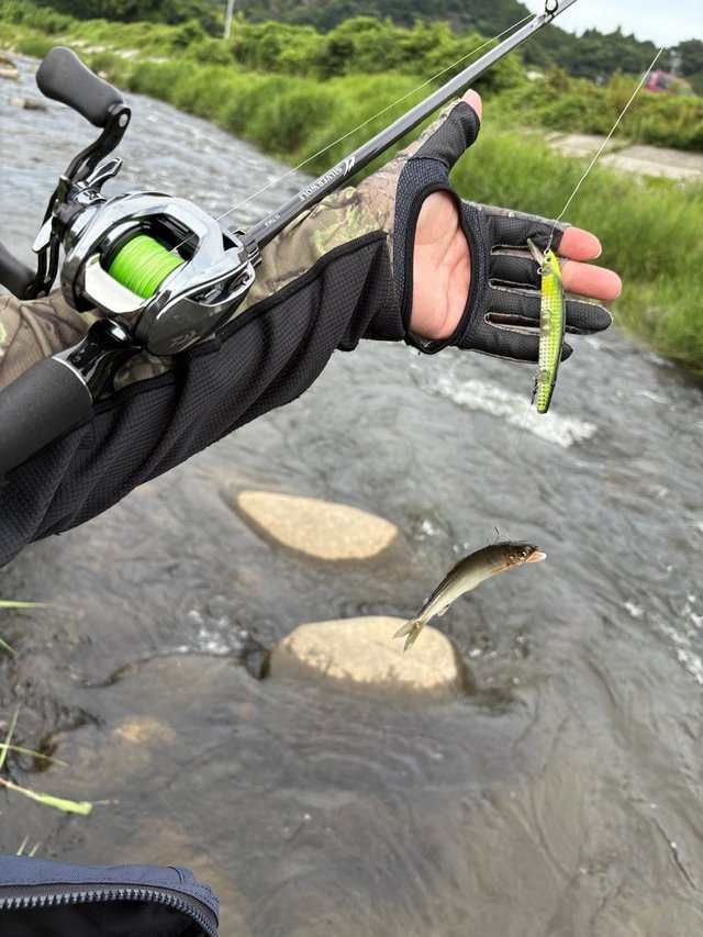 ﾀﾞｲﾜ ｽﾃｨｰｽﾞﾘﾐﾃｯﾄﾞ SV TW 1000HL(左巻き)(1000HL): リール｜釣具の通販