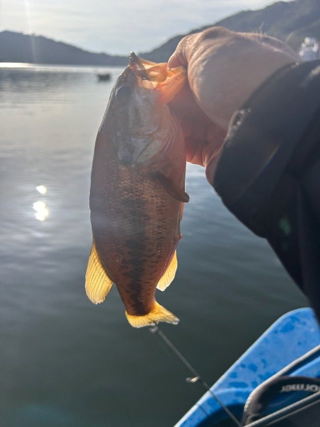 バス釣り バス釣り GAME007 金山川→遠賀川支流→遠賀川上流 | Fishing is
