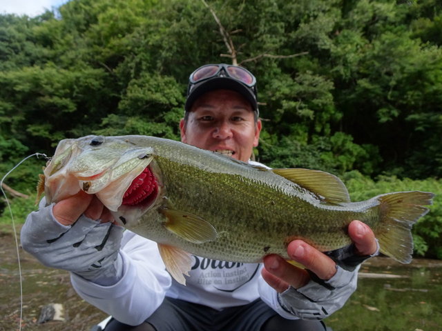 ダイワ バスロッド スティーズ リアルコントロール C611MH-SV(ベイト 2