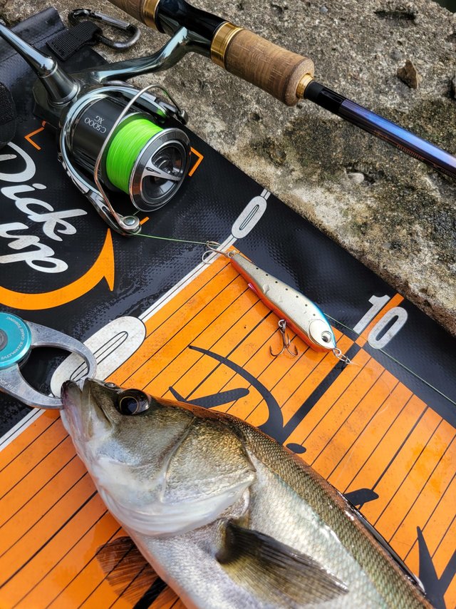 新品2702R-3 ワールドシャウラリミテッド【定価112750円】 シマノ 23ワールドシャウラリミテッド 2702R-3 (スピニング 3