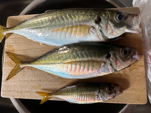 ダイワ 22ジリオン TW HD 1000HL (左)【即日発送】(1000HL