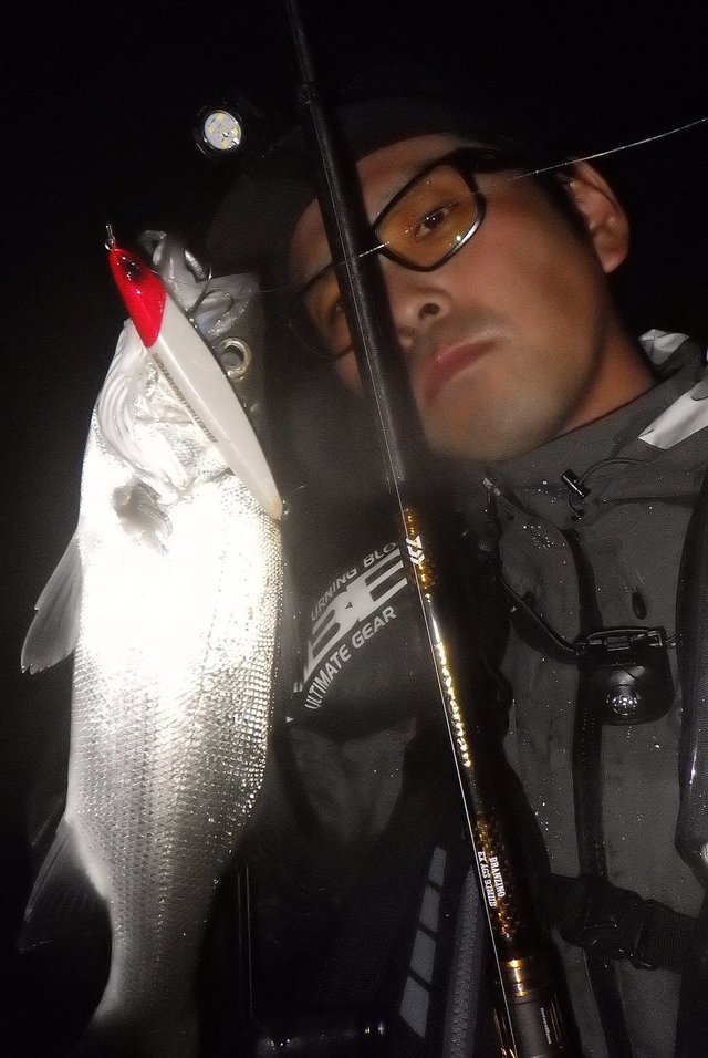 MORETHAN 77HB•W モアザンビッグベイトシーバスロッド Amazon | ダイワ(DAIWA) ベイトシーバスロッド MORETHAN BRANZINO EX