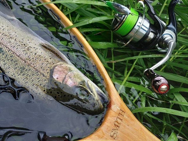 ダイワ ブラックレーベル BLX トラベル S66L-5 バーサタイル