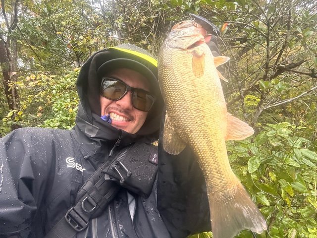 ダイワ ベイトリール 24スティーズ SV TW 100HL(左)【即日発送