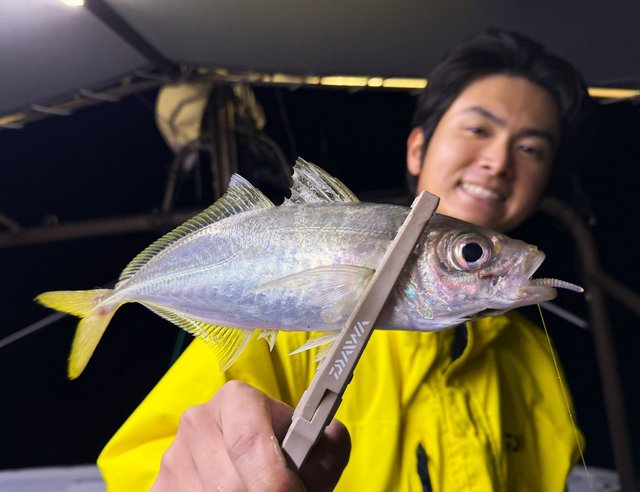 ダイワ スピニングリール 24ルビアス PC LT2500(PC LT2500): リール