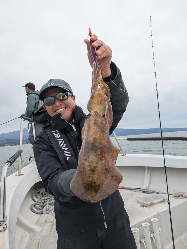 ダイワ エメラルダス AIR BOAT 511MLS-S ダイワ エギングロッド エメラルダス AIR BOAT 511MLS-S・K