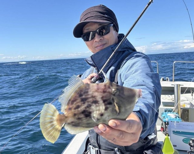 ダイワ 両軸リール 24アドミラ(ADMIRA) A150HL(左)【即日発送】(150HL