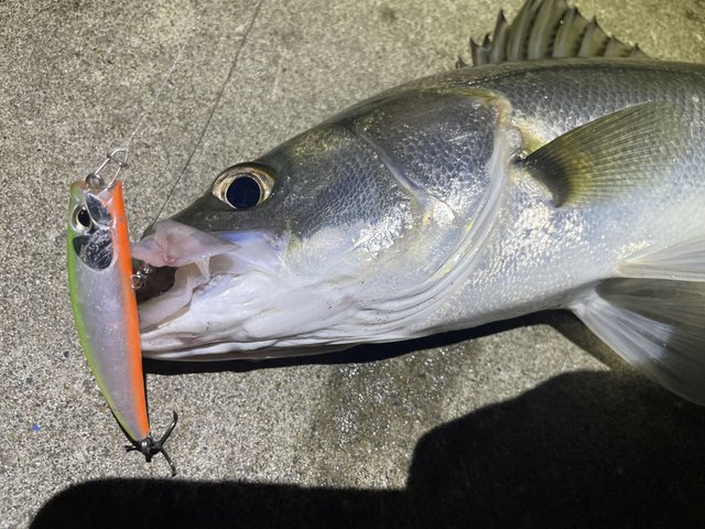 ダイワ ラブラックス AGS 100M・N 2021モデル (スピニング2ピース