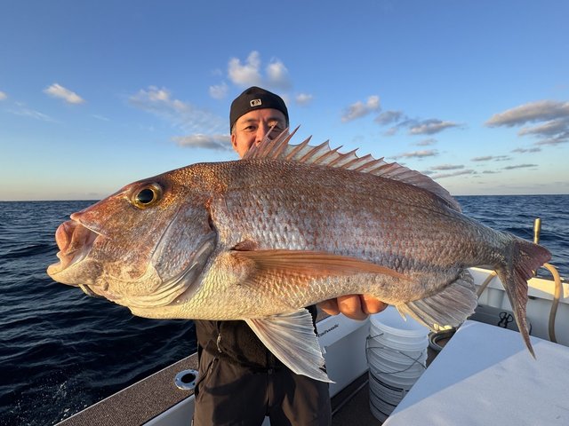 ダイワ オフショアロッド 紅牙EX N67MB TG・J(ベイト 2ピース)【大型