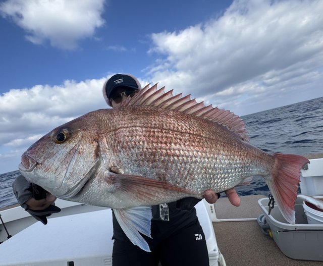 ダイワ オフショアロッド 紅牙X 69MHB-S(ベイト 2ピース)【即日発送