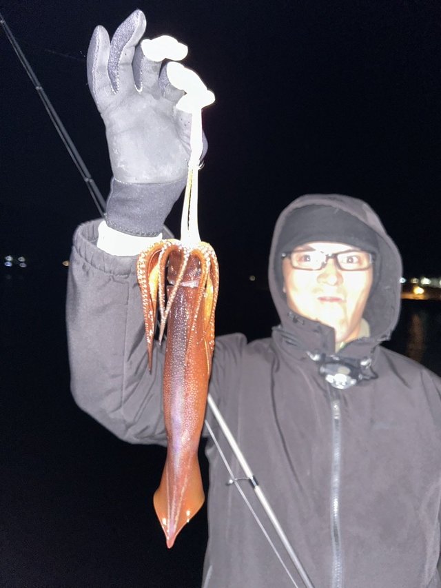 メジャークラフト 鯵道5Gフロート&キャロ AD5-S832FC/AJI: 竿｜釣具の