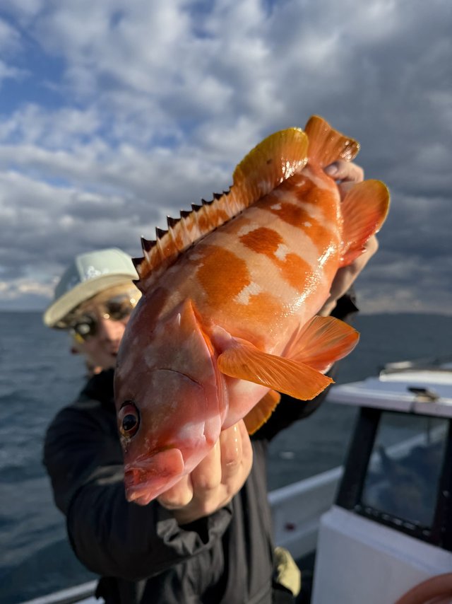 この商品に関する釣果 [釣具のキャスティング]