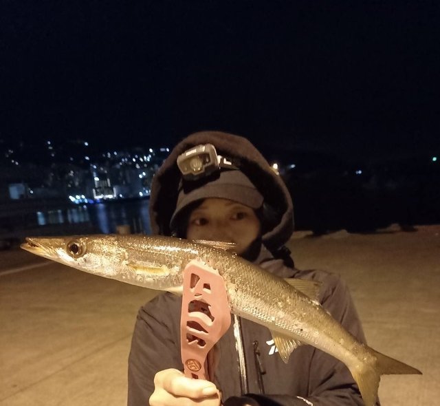 シマノ ロックフィッシュロッド ハードロッカーSS S73L/M-S