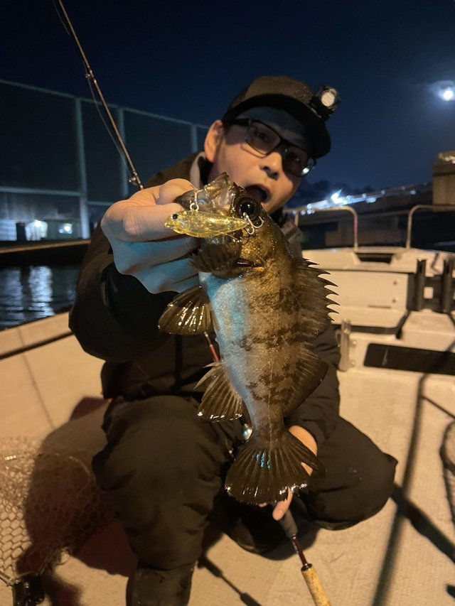 フィッシュマン ビームス インテ 7.9UL Fishman Beams inteFB-79UL