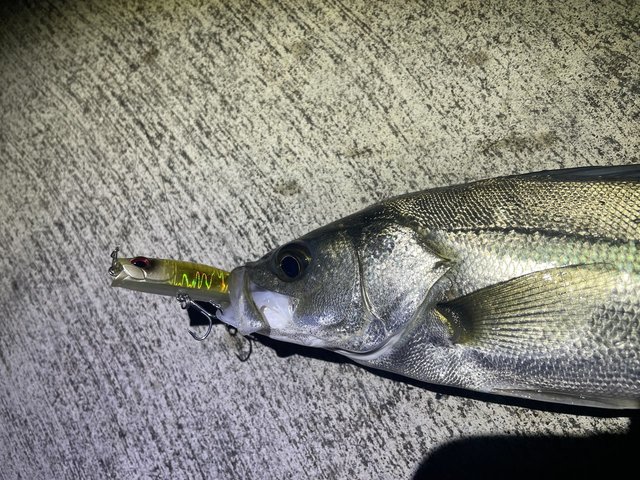 ダイワ ラブラックス AGS 100M・N 2021モデル (スピニング2ピース