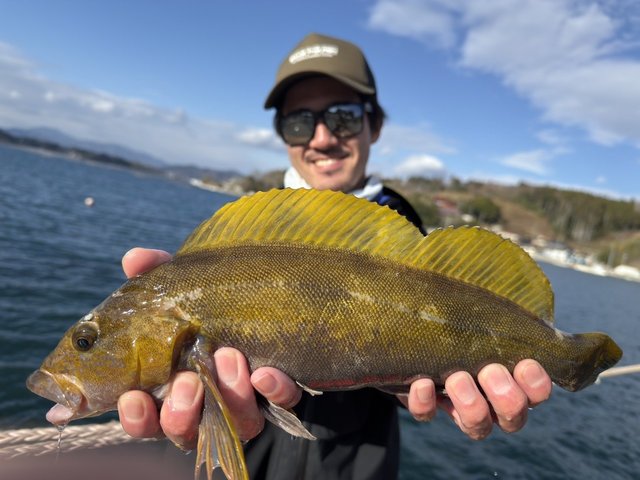 シマノ スピニングリール 22ステラ 4000XG: リール｜釣具の通販なら