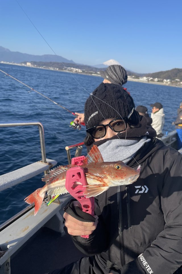 シマノ ロックフィッシュロッド ハードロッカーSS S73L/M-S