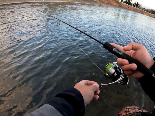 釣り 2026年01月08日(木) 東京都 八王子店の釣果です。[釣具のキャスティング]