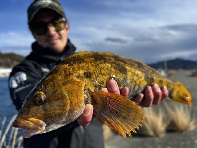 ノリーズ フラットフィッシュプログラム シューティングサーフ 96