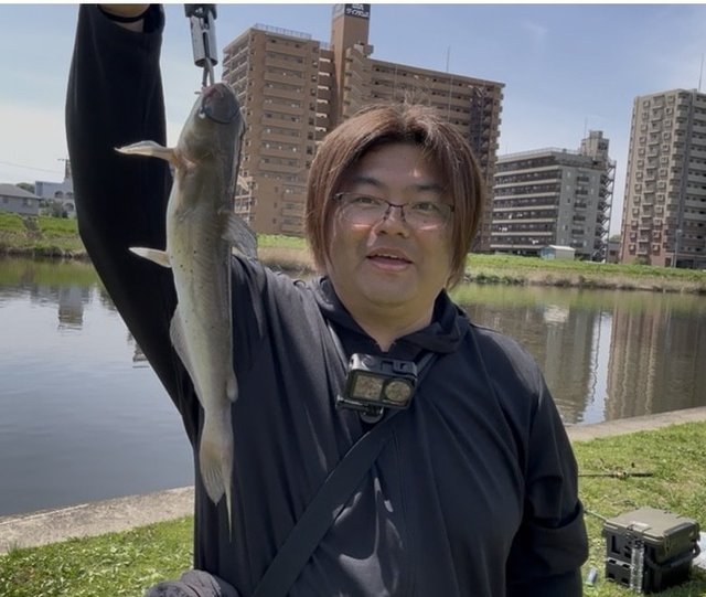 冷凍品 ホタルイカ ﾊﾟｯｸ 釣り餌 つり えさ 身エサ 海上釣り堀 根魚(一